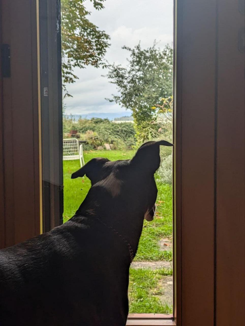 Chalet Sul Trasimeno Сант'Арканджело Экстерьер фото