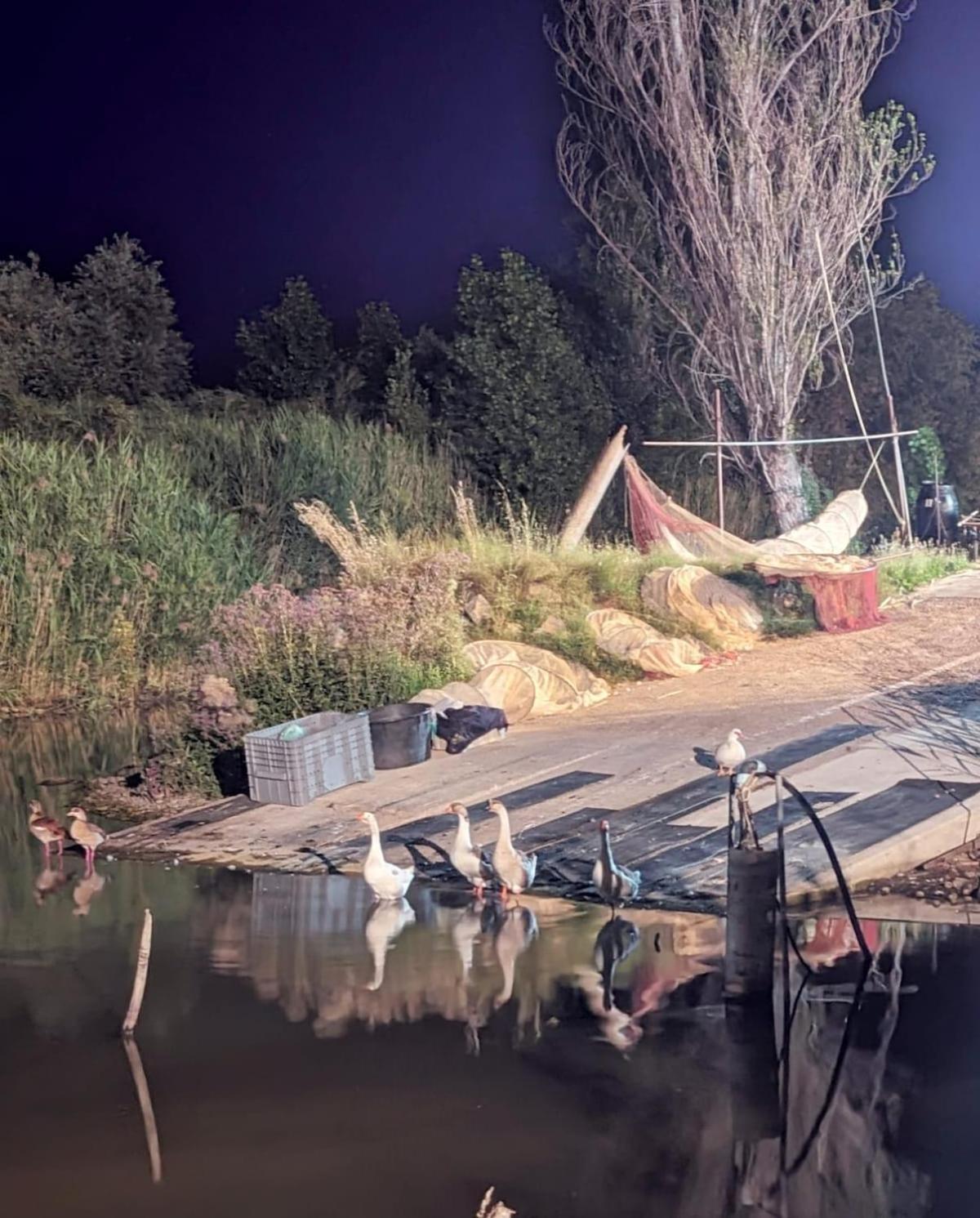 Chalet Sul Trasimeno Сант'Арканджело Экстерьер фото